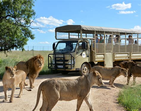 pilanesberg safari turu